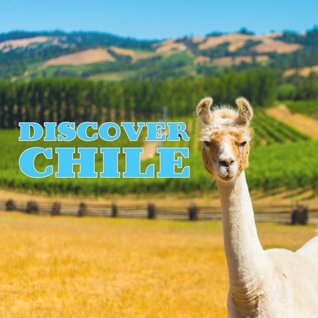 Image of Discover Chile